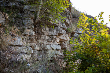 Rock cliffs soar amidst vibrant foliage, bathed in warm evening light as nature thrives in peace.