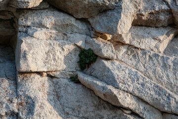 Sunlight casts shadows on weathered rock formations, showcasing vibrant patches of moss and lichen...