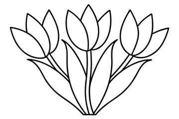 A simple Tulip Cluster line art vector white background