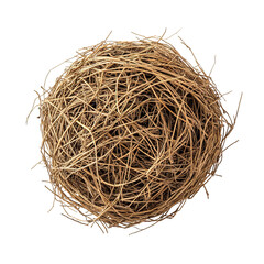 Round dry tumbleweed with intricate branches, isolated on transparent cutout background