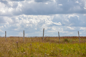 Obraz premium Lush green and golden grasses sway gently while wooden posts stand resilient against a backdrop of fluffy clouds.