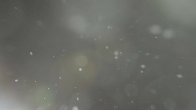 Many dust particles floating falling down in light on empty background with spotlight from above.