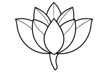 A simple Flower Bud line art vector white background
