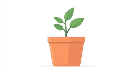 Fototapeta premium Simple Green Plant in Orange Pot on Clean White Background