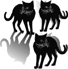 three black cats with shadows