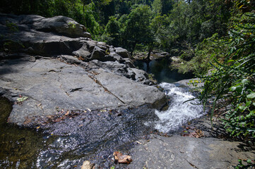 Cascading Waterfall Amidst Lush Greenery in Forest Landscape