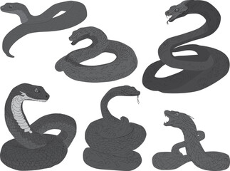 Fototapeta premium six snakes isolated on white