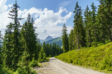 Obraz premium In den österreichischen Alpen