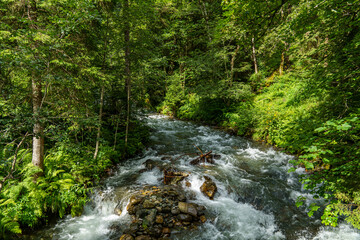Wandern in den &ouml;sterreichischen Alpen