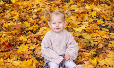 little girl in a beautiful autumn park. Golden autumn.