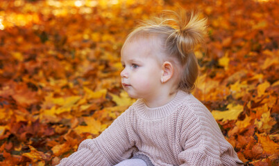 Fototapeta premium little girl in a beautiful autumn park. Golden autumn.