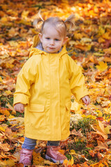 little girl in a beautiful autumn park. Golden autumn.