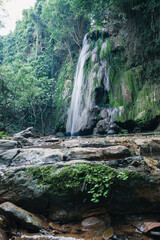 Serene Waterfall Cascading Down Mossy Rocks in Lush Forest