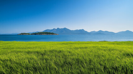 Seaside lawn, nature, seaside