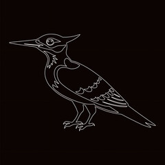 Woodpecker Line Art Drawing