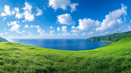 Seaside lawn, nature, seaside