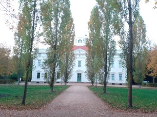 Naklejka premium church in the park