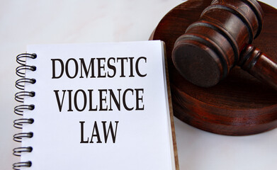 DOMESTIC VIOLENCE LAW - words in a white notebook with a judge's gavel in the background