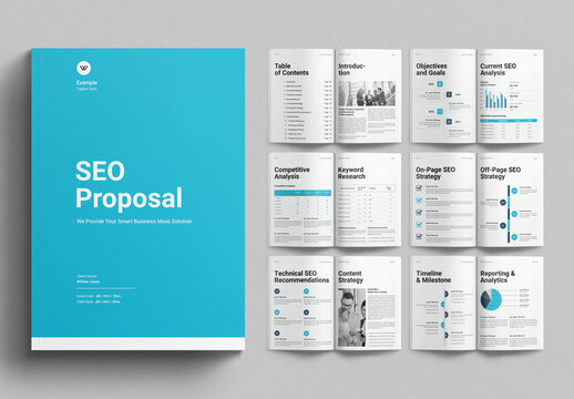 SEO Proposal Template Design Layout