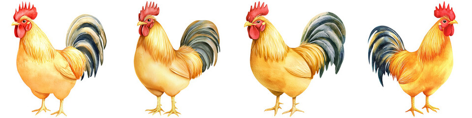 Chinese New Year festival and symbolism, Four colorful roosters with prominent feathers and red combs, standing upright in a row.