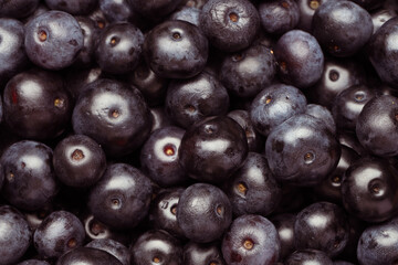 Ripe acai berries as background, top view