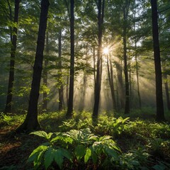 Obraz premium A bright, early morning forest with dew-covered leaves and the sun rising from behind the trees, with a clear sky.