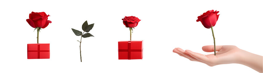Valentines day on white background
