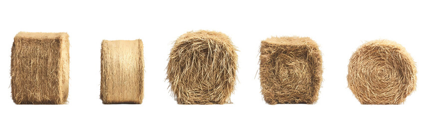 Golden hay bales in countryside