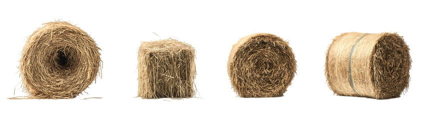 Golden hay bales in countryside