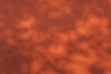 Faded red wall with shadow of leaves on it
