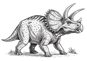 Triceratops dinosaur engraving vector illustration