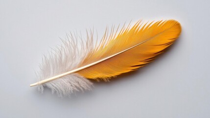 Obraz premium A photostock of a soft white feather floating gracefully on a clean white background, delicate and serene. High Quality
