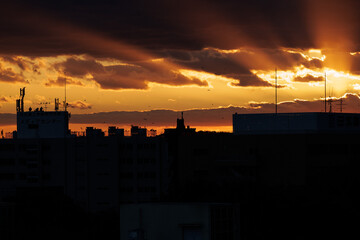 Orange sun rays stretch out from in between lines of dark clouds covering the sky at dusk. On the orange hued horizon, crows can be seen perched on building tops and flying through the sky playfully.