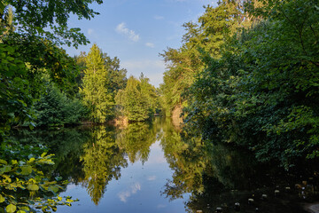 19 August 2024 Berlin (Germany) - August: Footpath in the Tiergarten public park