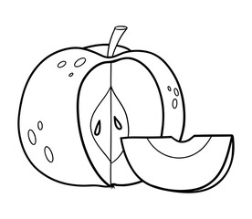 Outline apple. Cut half and slice of fruit. Linear hand drawing. Coloring Page. Vector illustration