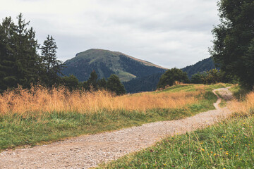 Mountain Path with a view of Orobie Alps (Lombardy, Italy)