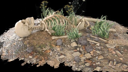 human remains with black background