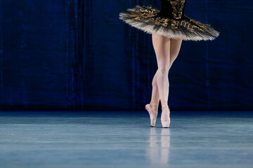Closeup of ballerinas dancing on stage.