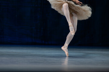Closeup of ballerinas dancing on stage. © Ruslan