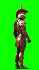 spartan soldier with green background
