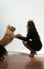 A woman in a black dress is kneeling down next to a dog wearing a tiara