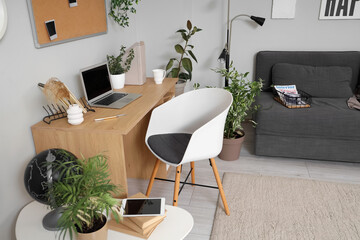 Interior of office with workplace, plants and sofa