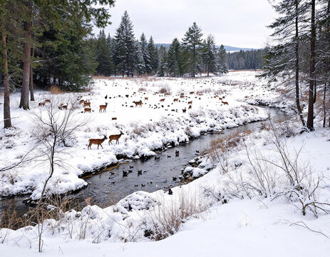 Snow-covered landscape with deer grazing and ducks near a flowing creek in a tranquil winter setting