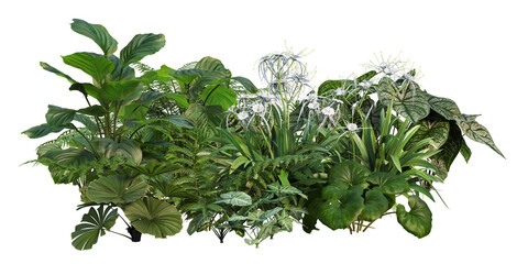Obraz premium 3d render small garden with tropical plants on transparent background
