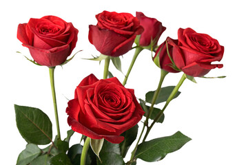 A bouquet of vivid red roses with rich, velvety petals and lush green leaves, symbolizing passion and elegance, isolated on a transparent background
