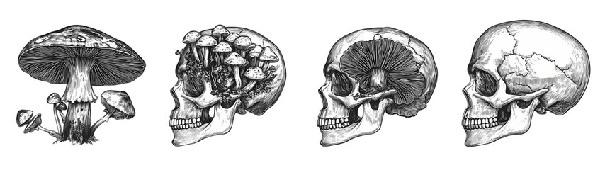 Skull with hand-drawn wreath
