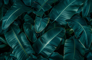 Fresh Green Banana Leaf abstract background realistic bananas leaf wallpaper