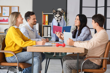 Colleagues with funny Husky dog working at table in office