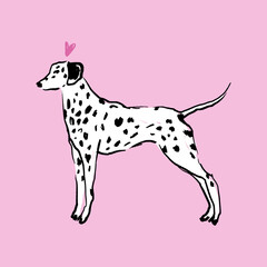 Vector clipart dalmatian dog sticker. Dogs breed. EPS and JPG illustration. Funky doodle trendy petshop print, colorful hand-drawn childish cartoon art. Groovy fauve abstract collage decor elements in