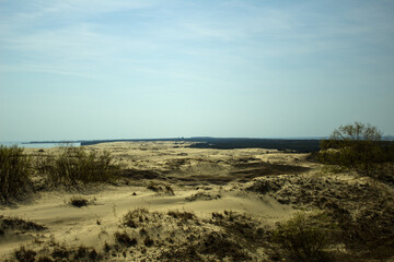 Dune on the Baltic Sea